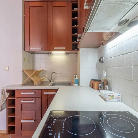 Spacious 1 Bedroom In A Lively Center