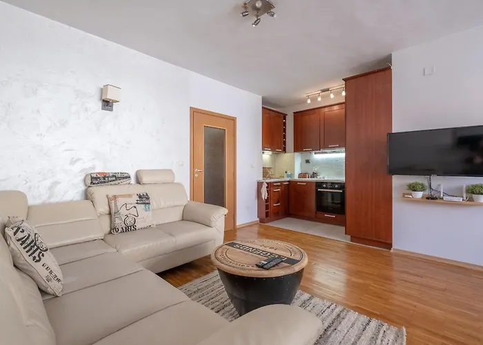 아파트 Spacious 1 Bedroom In A Lively Center 소피아