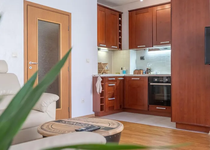 아파트 Spacious 1 Bedroom In A Lively Center 소피아